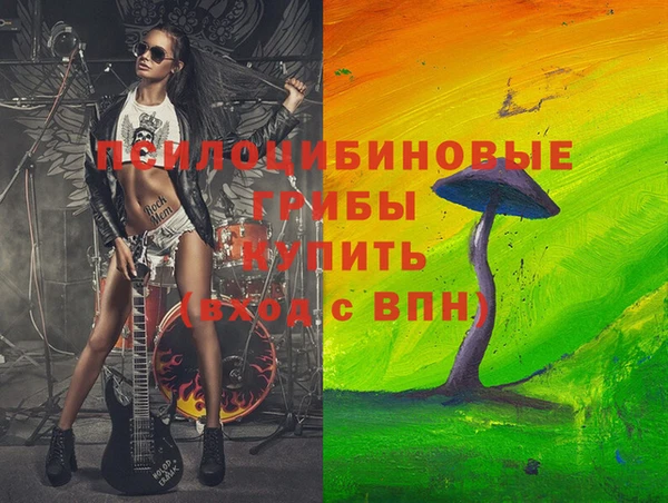 ПСИЛОЦИБИНОВЫЕ ГРИБЫ Вяземский