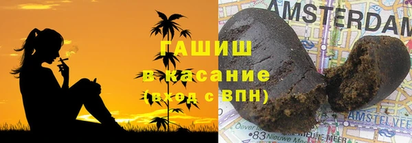 ПСИЛОЦИБИНОВЫЕ ГРИБЫ Вяземский